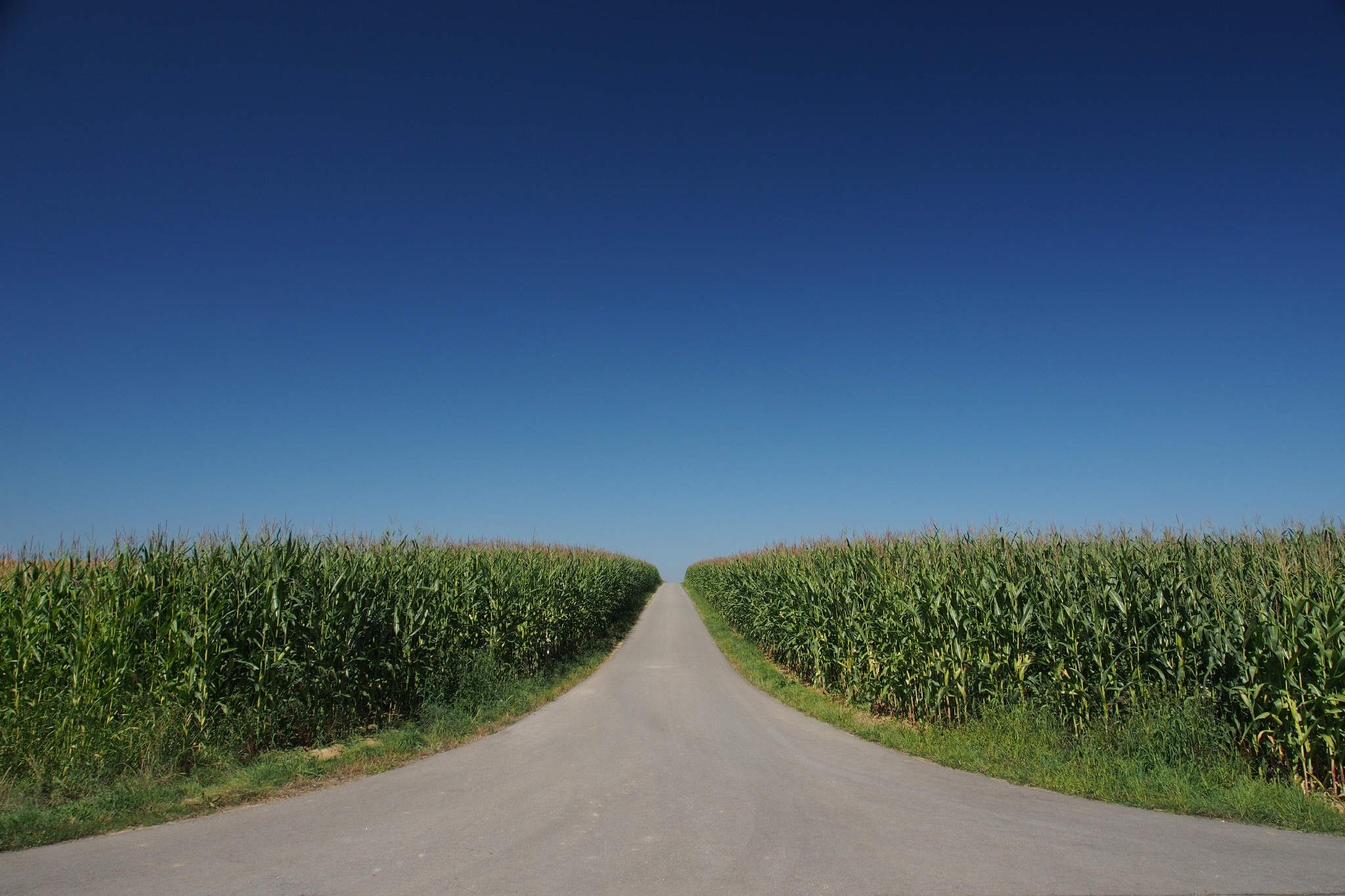 Rainer Schmid-Vasterling